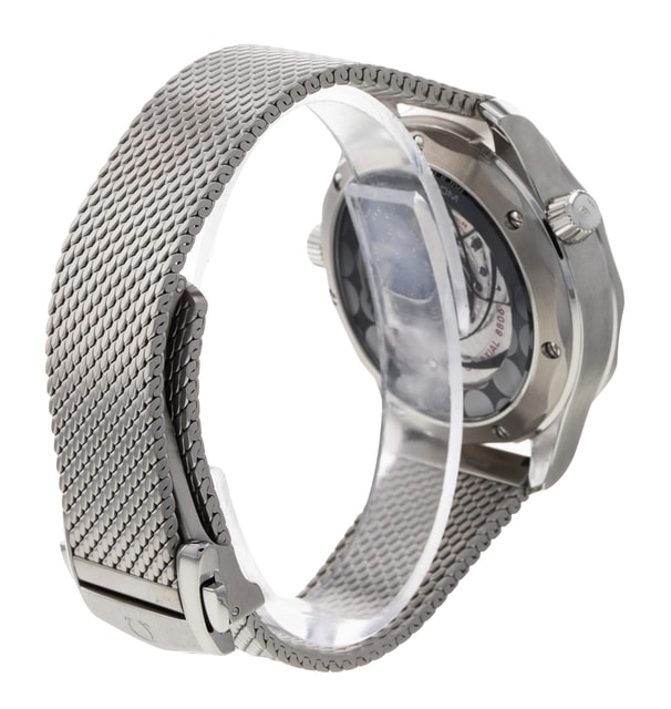 Omega Seamaster Diver 300m 210.30.42.20.03.002 Image 3